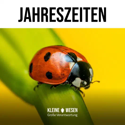 E12: Jahreszeiten