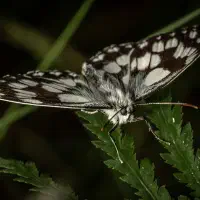 We received a letter from a reader