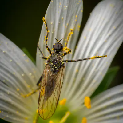 March Flies