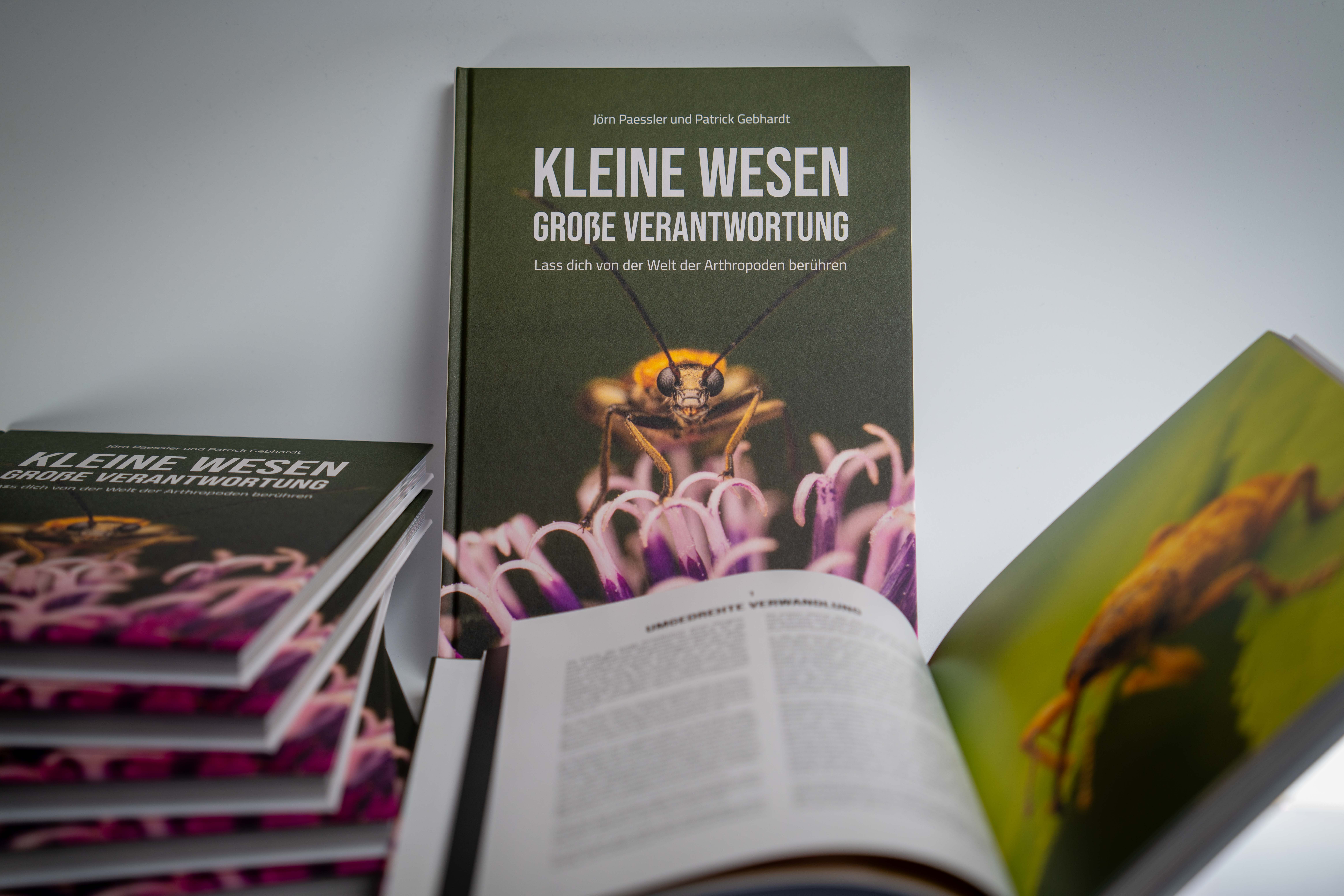 Regardez à l’intérieur !